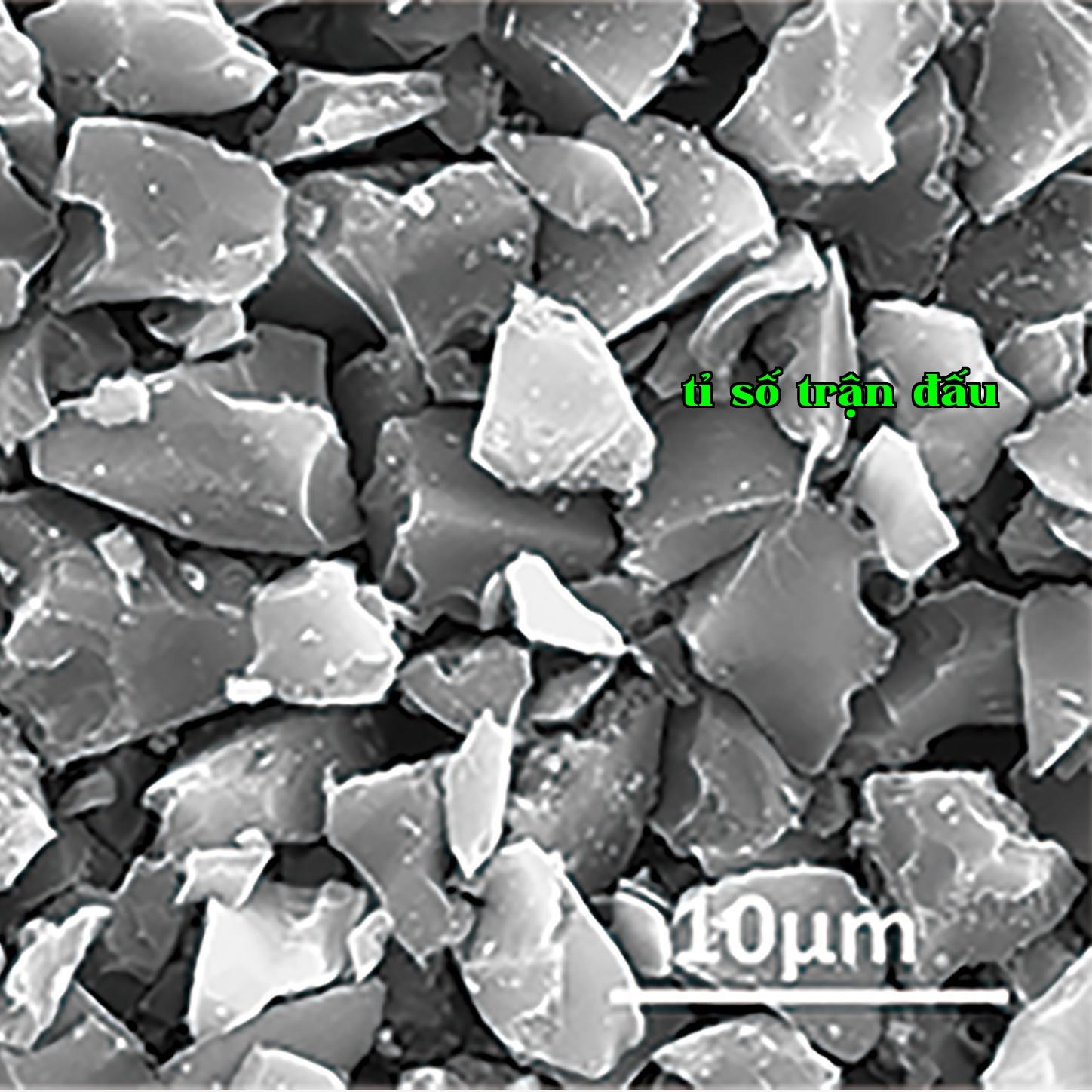Điện cực carbon cứng